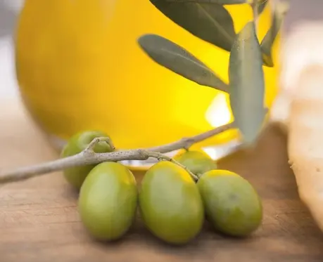Oliwki i oliwa z oliwek