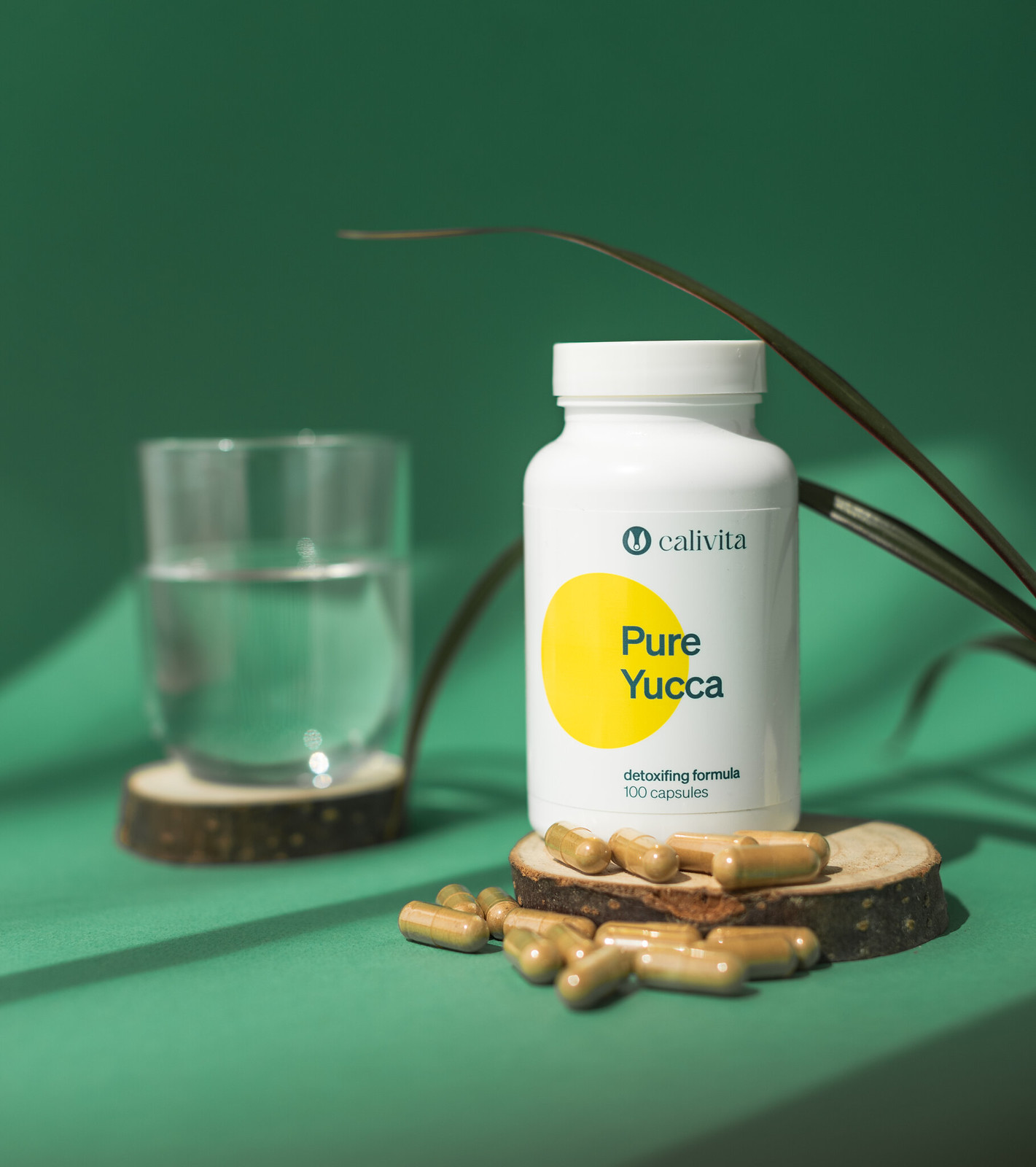 Pure Yucca 100 kapsułek - masa netto: 60 g - obrazek 2