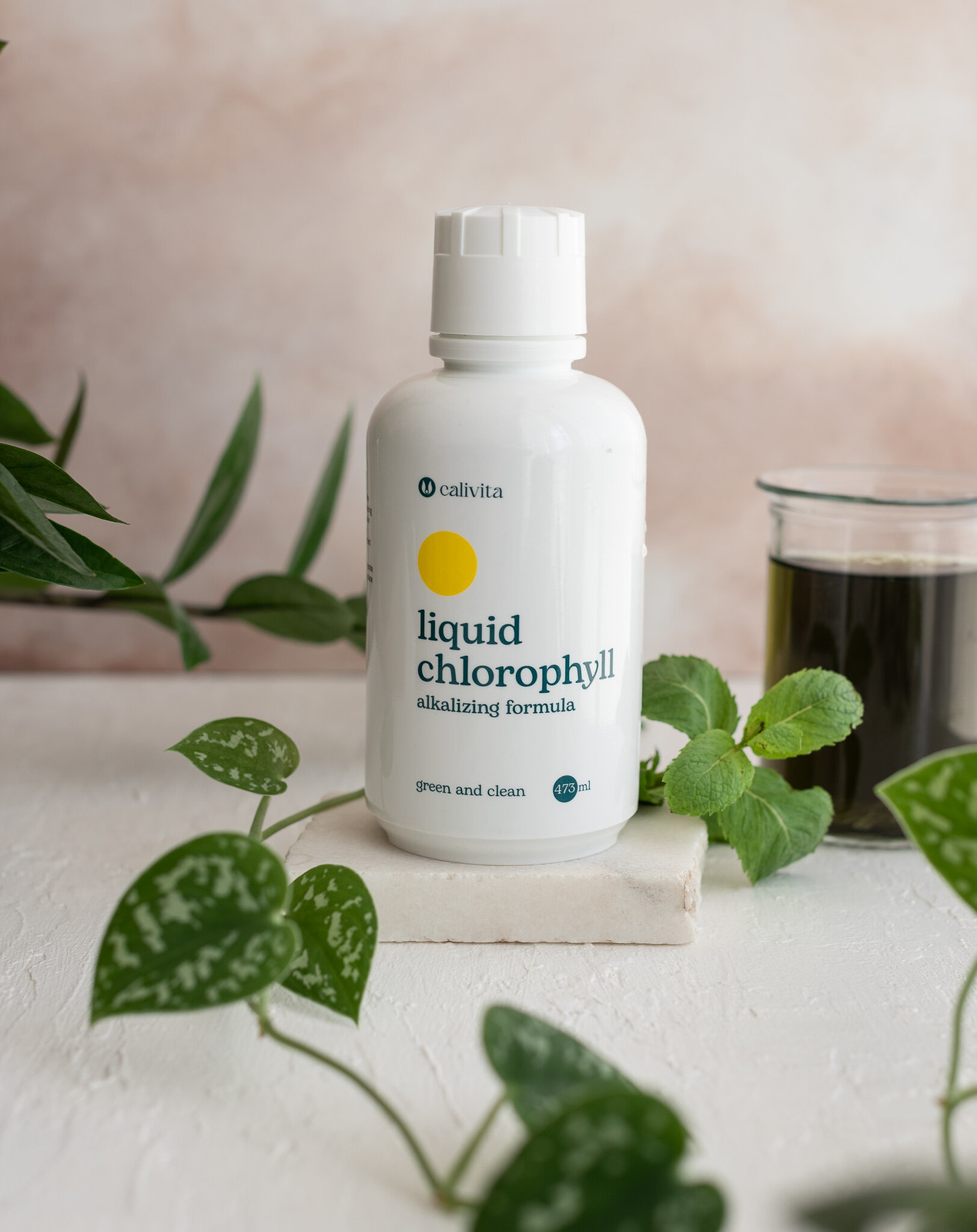 Liquid Chlorophyll Objętość netto: 473 ml - obrazek 5