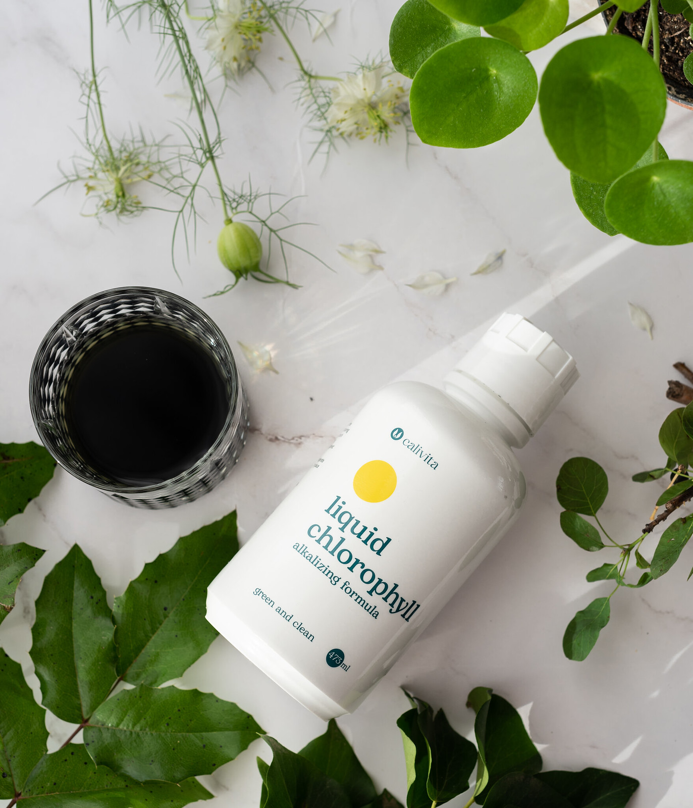 Liquid Chlorophyll Objętość netto: 473 ml - obrazek 4
