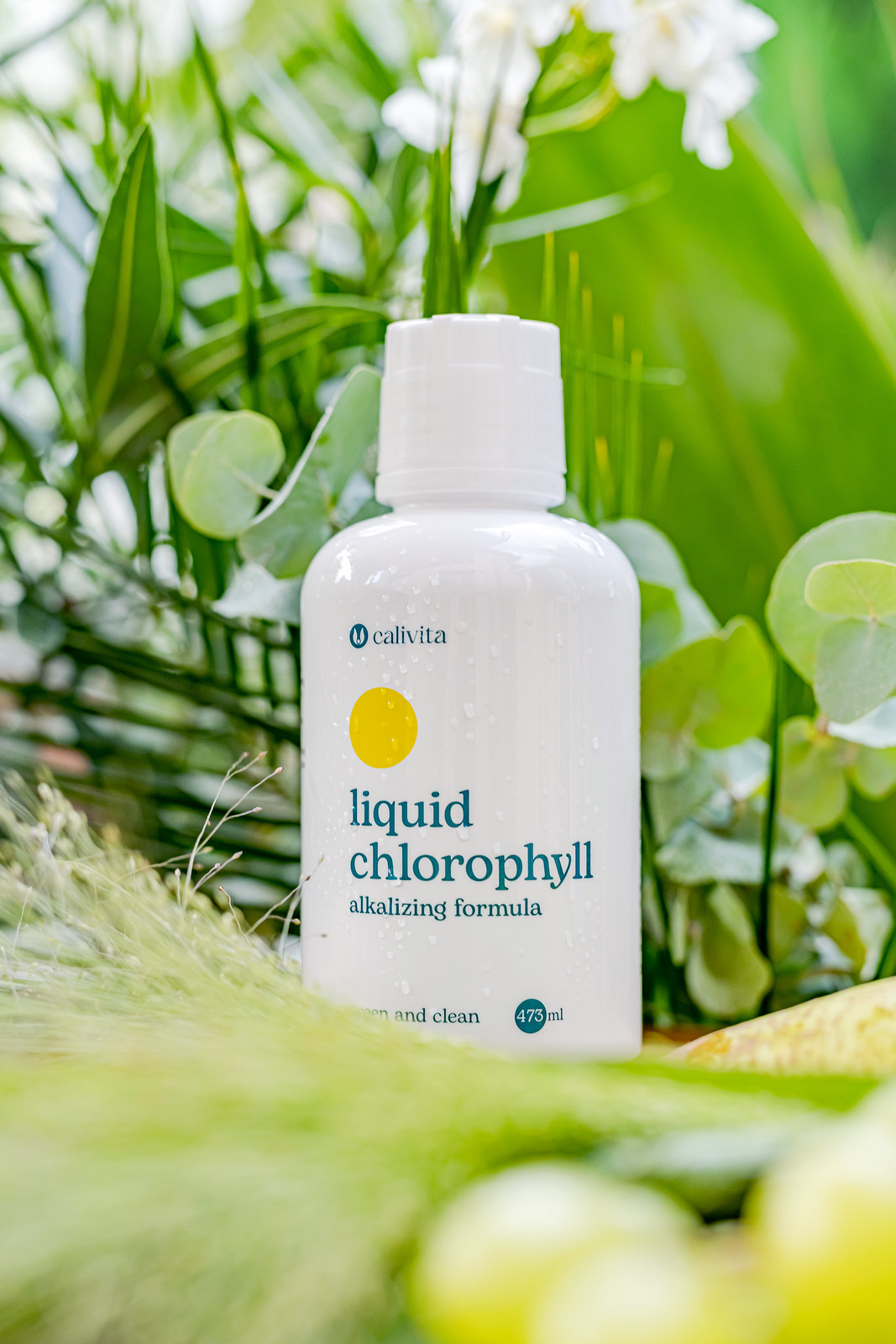 Liquid Chlorophyll Objętość netto: 473 ml - obrazek 2