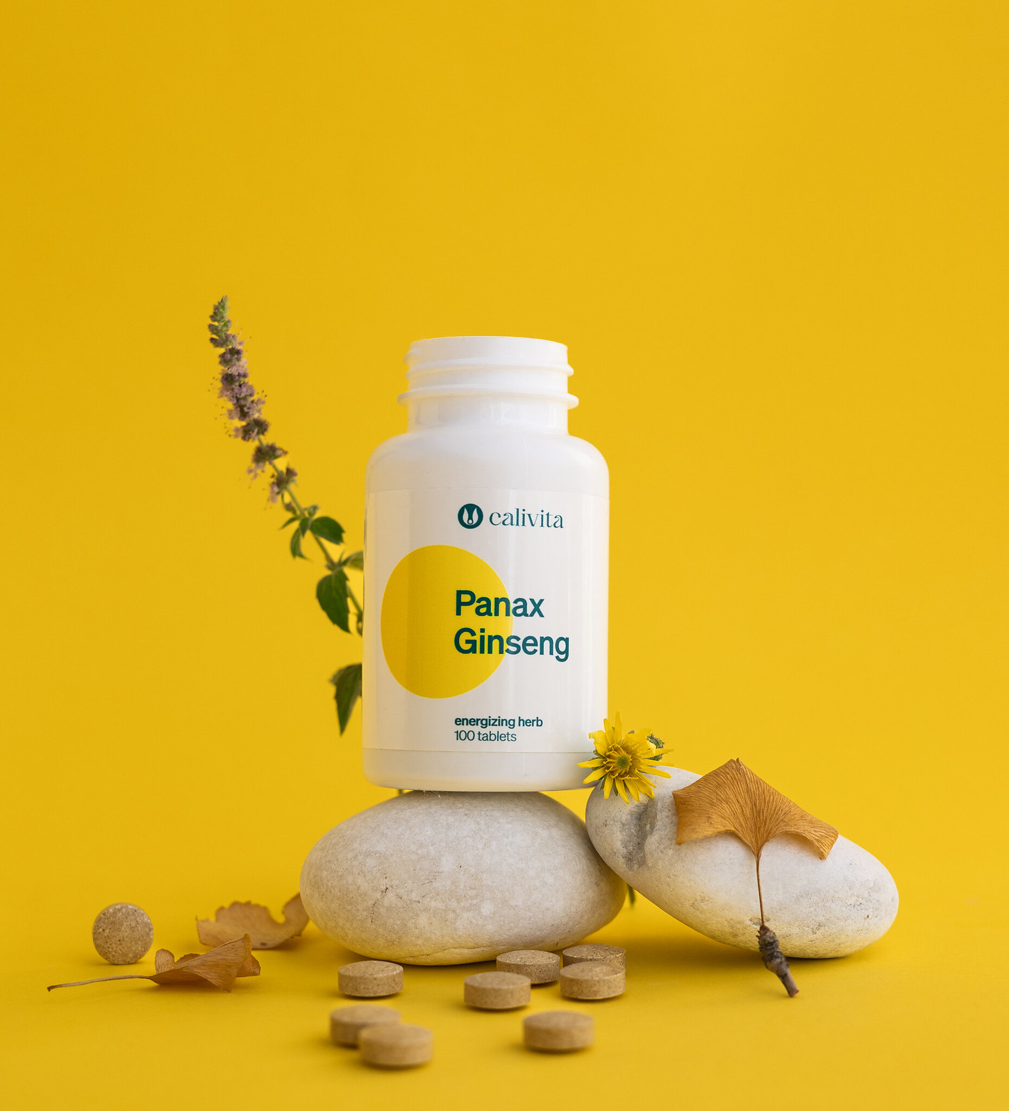 Panax Ginseng 100 tabletek - masa netto: 86 g - obrazek 2