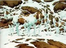 Przetestuj swój wzrok