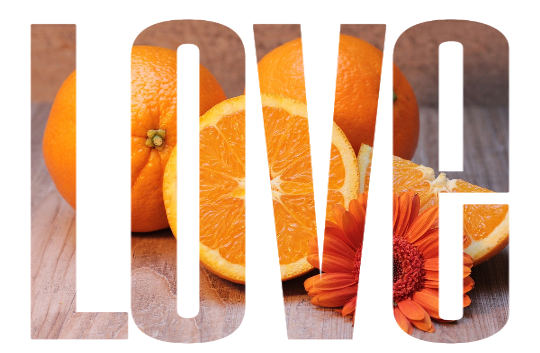 citrus citrus