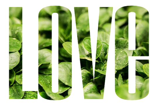 organic farming organic farming